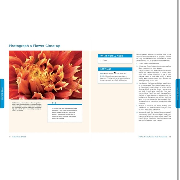 BetterPhoto Basics: The Absolute Beginner’s Guide to Taking Photos Like a Pro - Picture 4 of 5